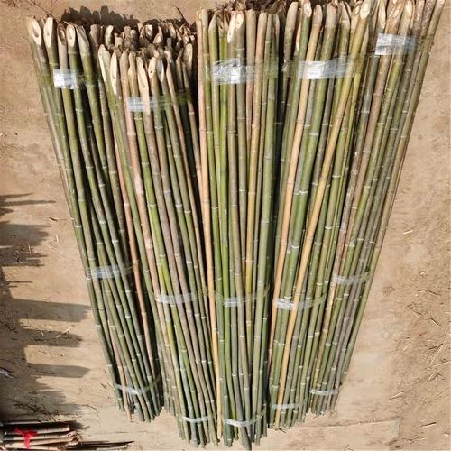 竹韵竹木制品 豆角搭架小竹竿旗杆竹子细竹竿嫁接种菜花园葡萄架杆子